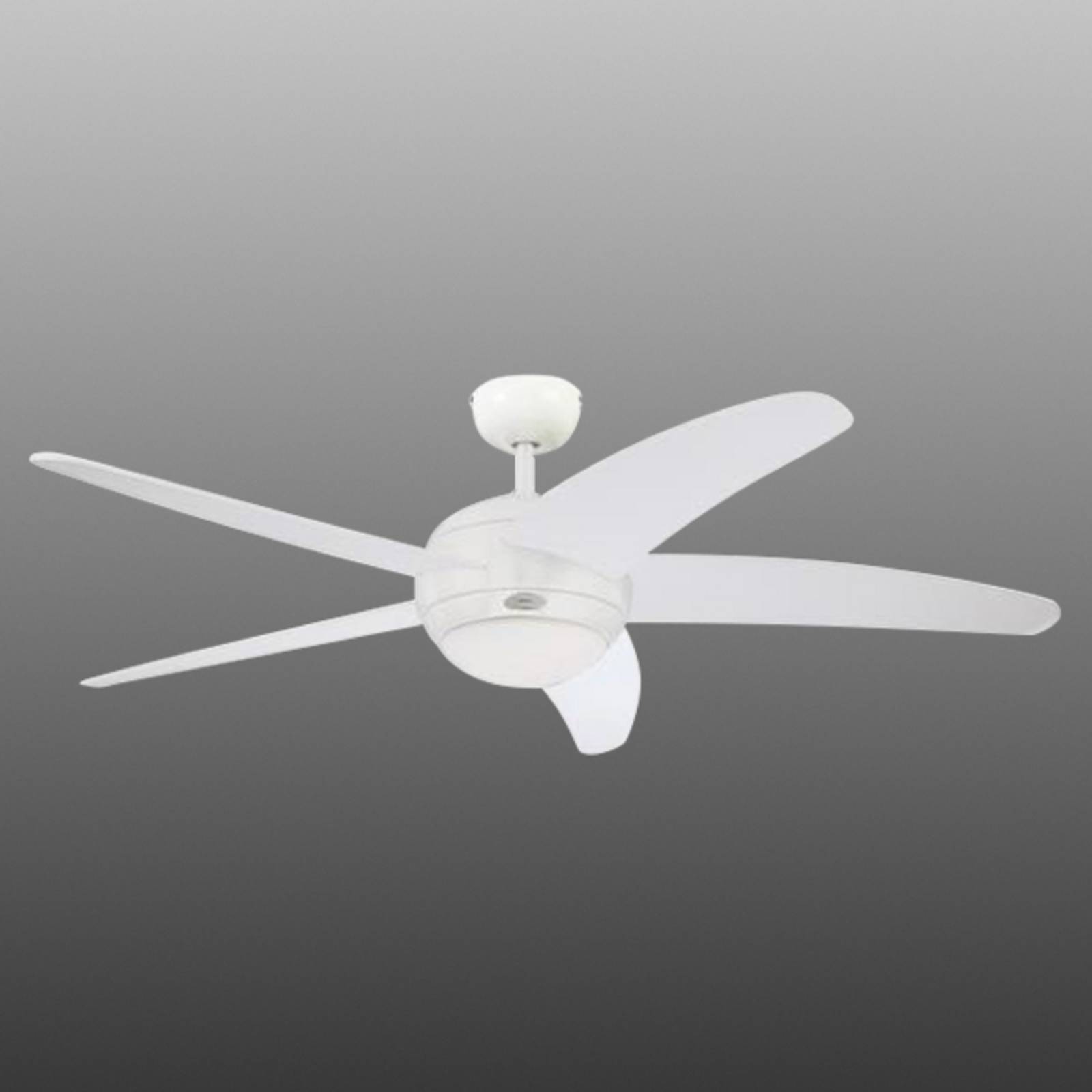Westinghouse Bendan - Ventilatore a cinque pale, bianco, Bianco / Opale, Soggiorno / Sala da pranzo, Legno, Moderno