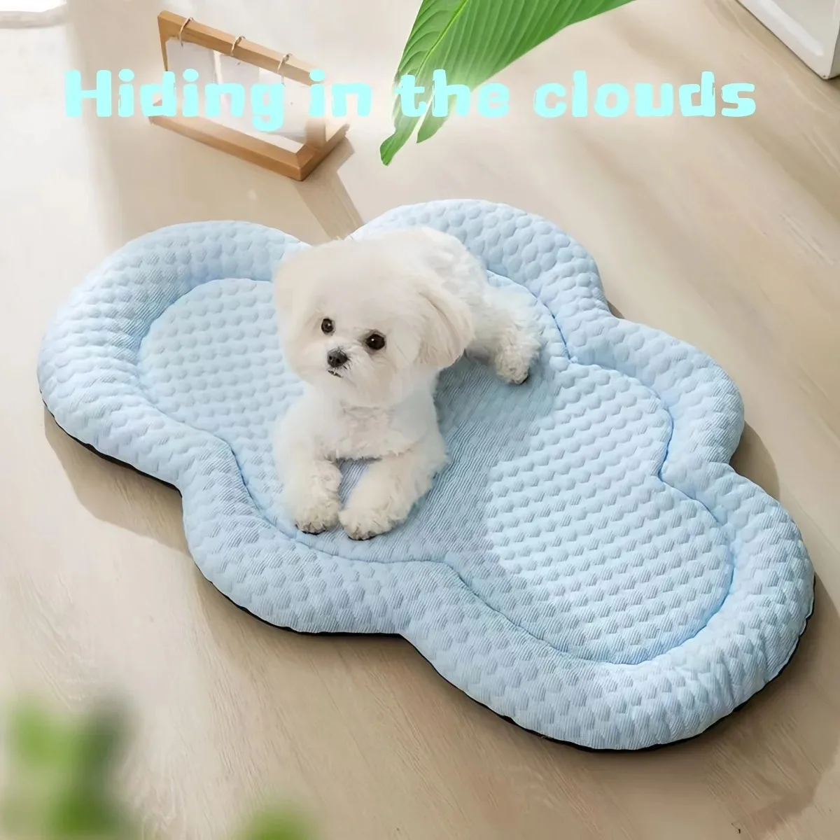 Kühlmatte Hundezubehör Sommerhütte Sofa Babybett Haustierbetten für kleine Hunde Produkte Kissenzubehör So Pets House Indoor