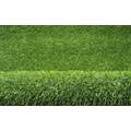 Thoresby 20mm Artificial Grass - 4m x 1.5m (6ft 6in x 4ft 11in)