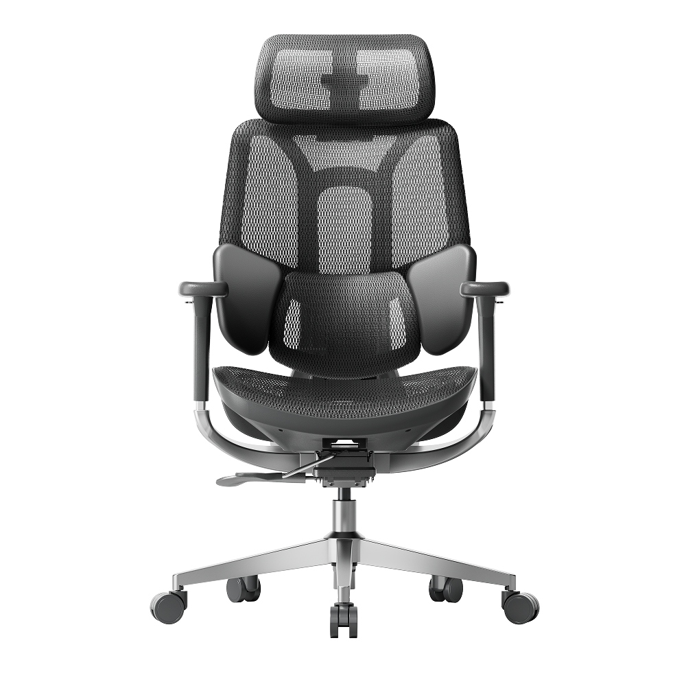 HBADA E3 Air Ergonomic Office Chair, Black / Without Footrest