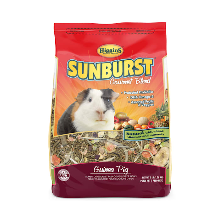 Higgins Sunburst - Guinea Pig, 3 lb