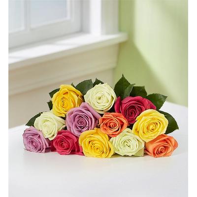 1-800-Flowers Flower Delivery One Dozen Assorted Roses Bouquet Only | Happiness Delivered To Their Door