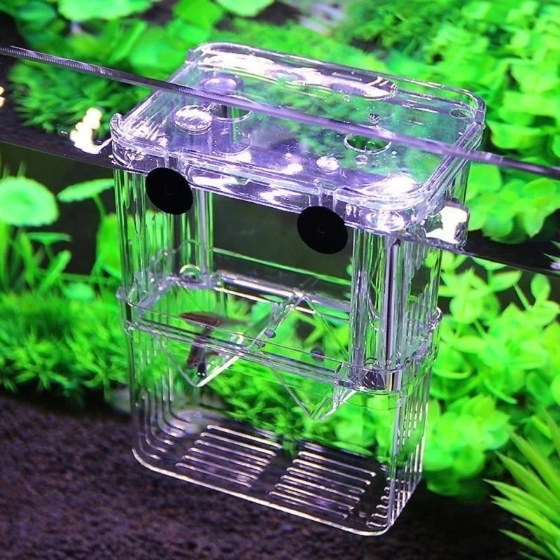 Multifu Fisch Aquarium Hohe Klare Zucht Isolation Box Heimtierbedarf Züchter Tank Doppel Guppies Schlüpfen Inkubator Haustier Produkte