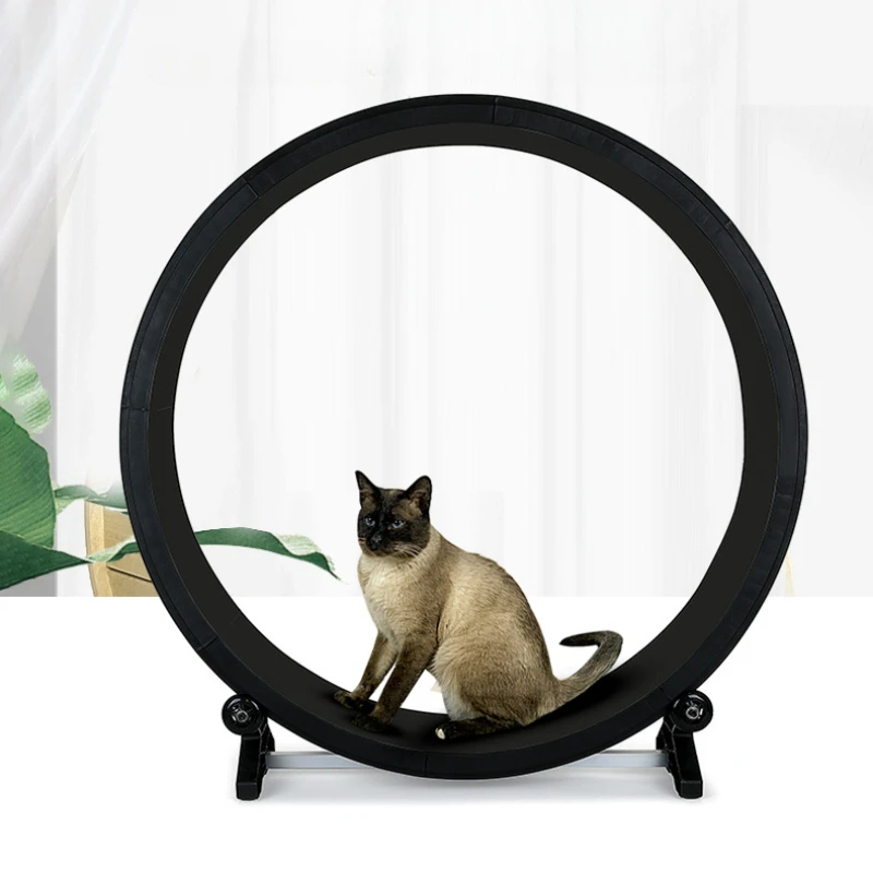 Katzenroller-Laufband, Fitness-Pfoten-Schleifen, Übungs-Laufband für Haustiere, multifunktionales, leises Laufband, Fitness-Möbel für Haustiere