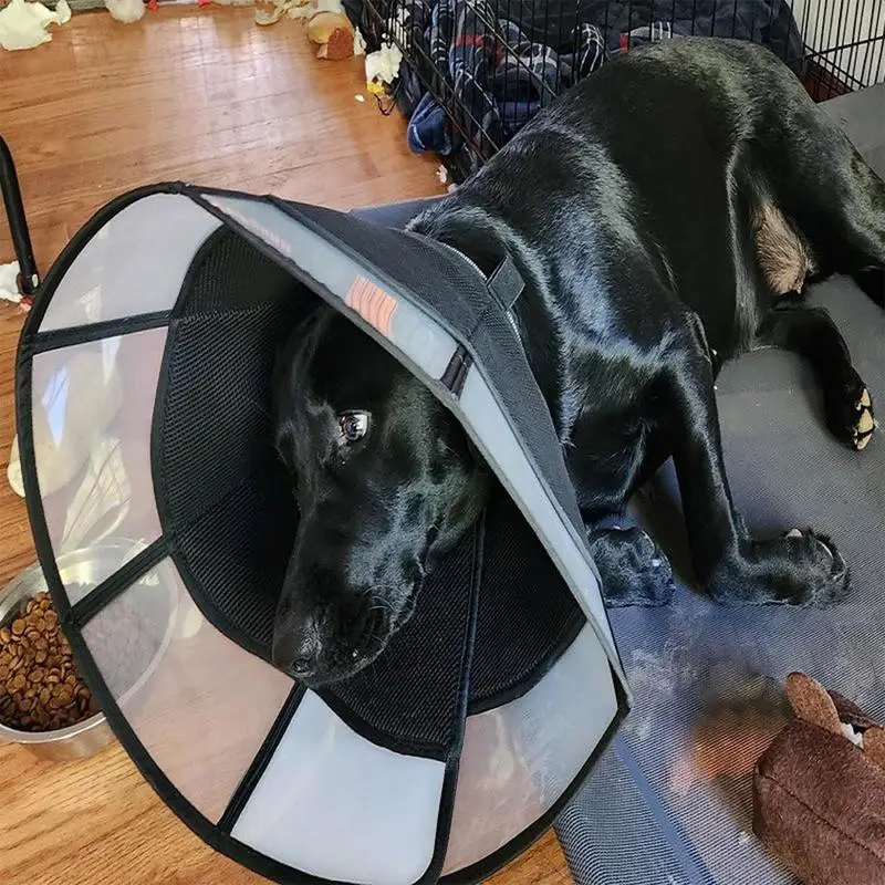 Hund Erholung Kegel Einstellbare Hund Erholung Weichen Kegel Wunde Pflege Sichtbar Wrap Anti-Lick Schild Atmungsaktive Haustier Kragen Anti-Biss Für