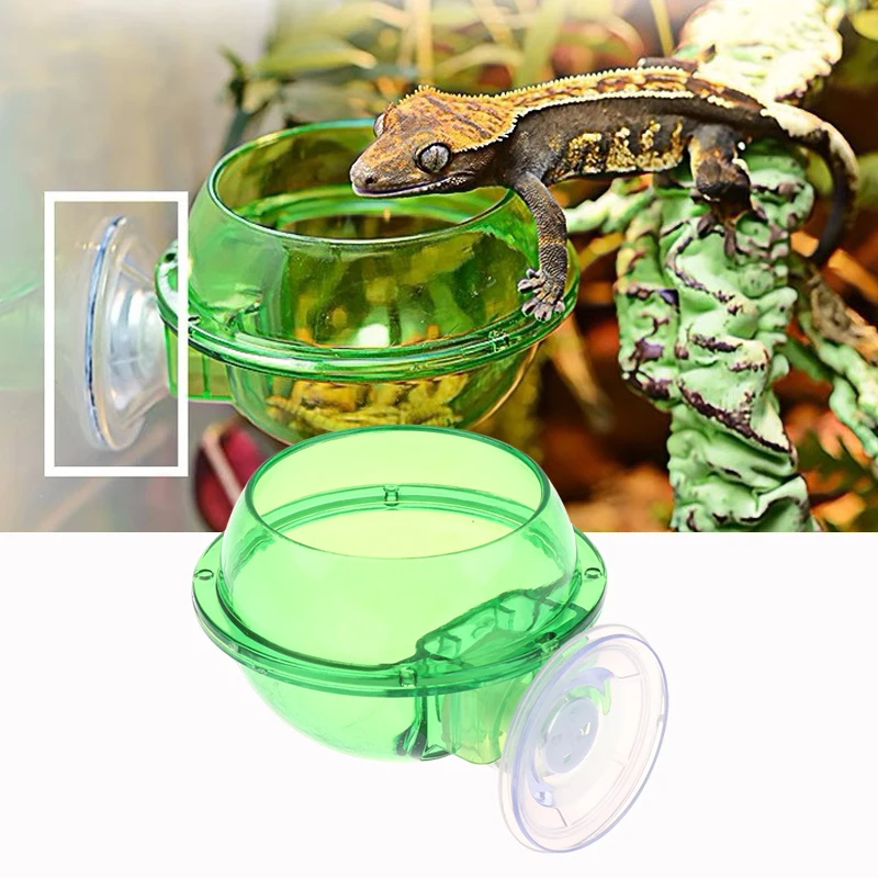 Arboreal Reptile Live Anti-Escape Sucker Feeder Bowl Insect Worm Food Container for Lizard Gecko Chameleon Pet Reptile