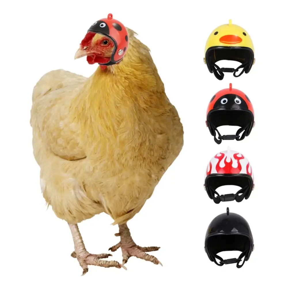 Lustige Accessoires Haustier-Schutzhelm Hühnerhelm Vogelschutzkappe Sonnen- und Regenschutzhüte
