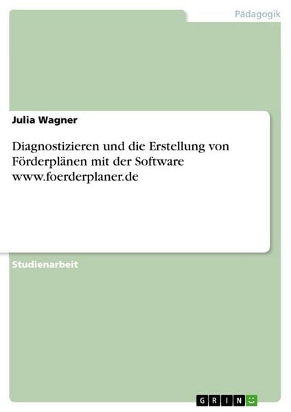 Diagnostizieren und die Erstellung von Förderplänen mit der Software www.foerderplaner.de, Taschenbuch von Julia Wagner, GRIN, 978-3-668-17339-2