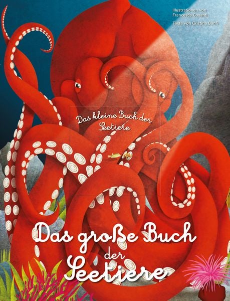 Das groβe Buch der Seetiere. Das kleine Buch der Seetiere, Gebundene Ausgabe von Cristina Banfi, Edizioni White Star SrL