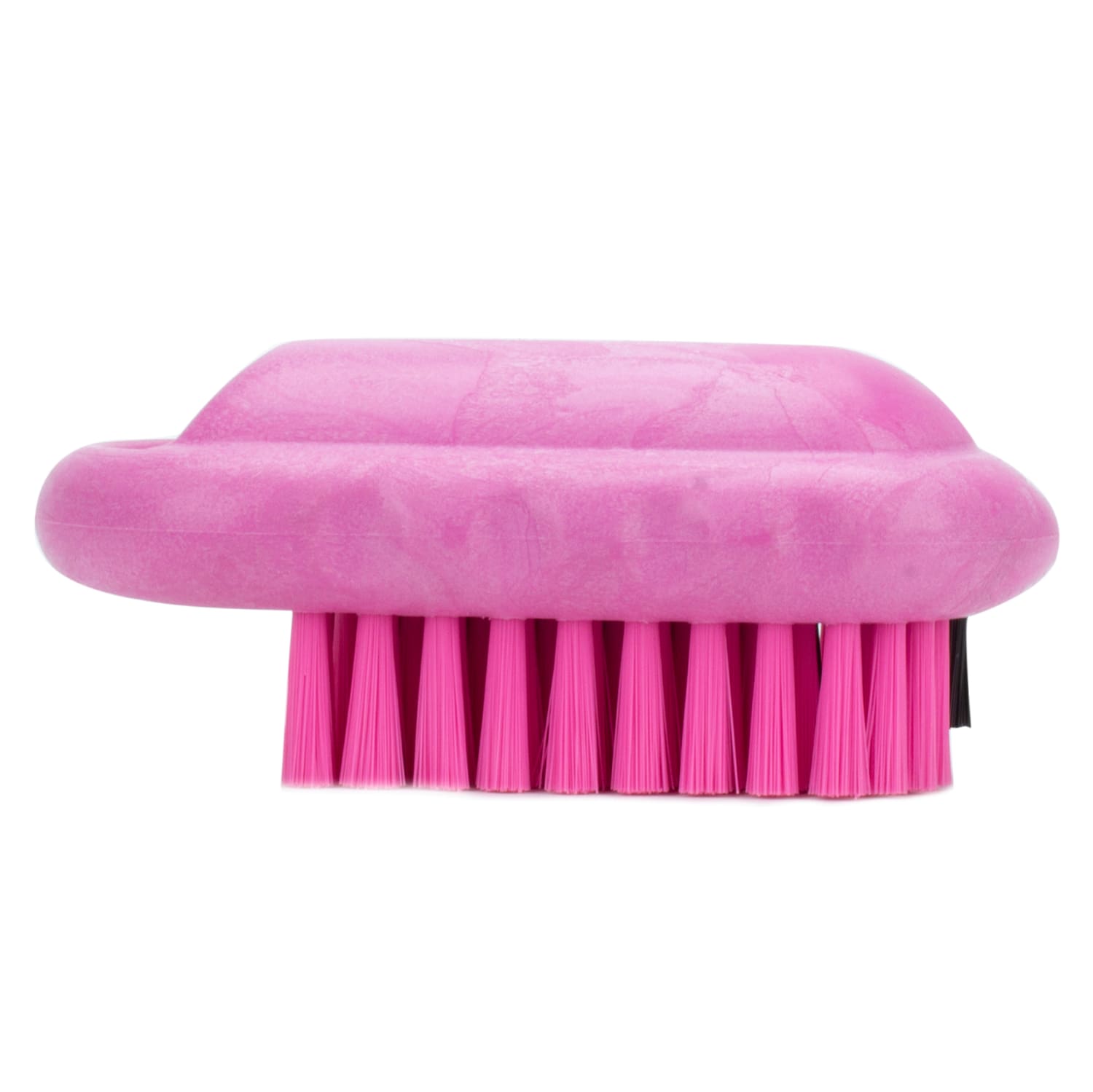 Carlisle 40020EC26 2 1/2 Hand & Nail Brush - Polyester, Pink, Case of 12