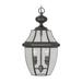 Livex Lighting Monterey 19 Inch Tall 2 Light Outdoor Hanging Lantern - 2255-04