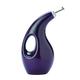 Rachael Ray Solid Glaze Ceramics EVOO Olive Oil Bottle Dispenser with Spout, One Size, Purple