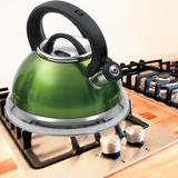 Creative Home Alexa 3 qt. Stainless Steel Whistling Stovetop Kettle Stainless Steel in Green/Yellow | 8.5 H x 9.5 W x 9.5 D in | Wayfair 77018