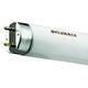 10 x Sylvania 18w - 2ft (610mm) T8 Fluorescent tubes - Colour 835 - Standard White