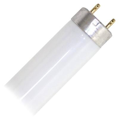 GE 66346 - F28T8/XL/SPX65/ECO 4 Foot Plus Straight T8 Fluorescent Tube Light Bulb