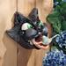 Trinx Sean Cat-Astrophe Sculptural 9 in x 11 in x 9 in Birdhouse Resin in Black | 9 H x 11 W x 9 D in | Wayfair NG33516