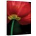 ArtWall "Iceland on Black" Photographic Print on Canvas in Black/Green/Red | 24 H x 16 W x 2 D in | Wayfair Kyates09-16x24-w