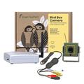 Green Feathers Wireless Bird Box SD 700TVL Camera with Night Vision, Receiver and USB Connector- Record To PC, Motion Detection, Garden Wildlife Kit