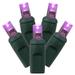 Vickerman 34682 - 50 Light 25' Green Wire Purple LED Wide Angle Miniature Christmas Light String Set with 6" Spacing (X6G6506)