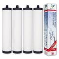 Doulton ¦W9223021¦ M15 UltraCarb Ceramic Drinking Water Filter Candle (4 Pack)¦ Compatible FRX01 - FRX02 10 inch M15 thread ¦Franke 02,Triflow, Filterflow,1st Gen Steel, 2nd Gen Plastic and FRCNSTR100