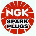 NGK OEM 4739 replacement bm4y bl1 spark plug