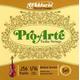 D'Addario Pro-Arte Violinensaiten-Set 1/16 Mensur Medium-Spannung