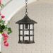 Hinkley Freeport 14" High Bronze Outdoor Hanging Light