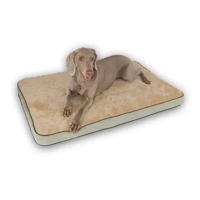 Customer Favorite K H Pet Memory, American Furniture Warehouse Dog Beds