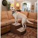 Pet Gear Easy Steps II Extra Wide 2 Step Pet Stair Plastic | 16 H x 20 W x 22 D in | Wayfair PG9720XLCH