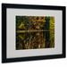 Trademark Fine Art "Beautiful Memory" by Kurt Shaffer Matted Framed Photographic Print Canvas in Brown/Green | 16 H x 20 W x 0.5 D in | Wayfair