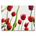 Trademark Fine Art 'Red Tulips from Bottom Up III' by Michelle Calkins Painting Print on Canvas Metal in Red/White | 24 H x 32 W x 2 D in | Wayfair