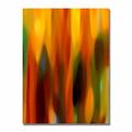 Trademark Fine Art "Forest Sunlight Vertical" by Amy Vangsgard Painting Print on Canvas in White/Black | 47 H x 35 W x 2 D in | Wayfair