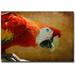 Trademark Fine Art 'Colorful Bird' by Lois Bryan Photographic Print on Canvas in Brown/Red | 16 H x 24 W x 2 D in | Wayfair LBr095-C1624GG