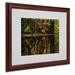 Trademark Fine Art "Beautiful Memory" by Kurt Shaffer Matted Framed Photographic Print Canvas in Brown/Green | 16 H x 20 W x 0.5 D in | Wayfair