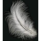 Zucker Marabou Feathers .25oz-White