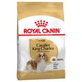 2x7,5kg Cavalier King Charles Adult Royal Canin - Croquettes pour chien