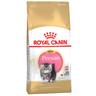 4kg Kitten Persian Royal Canin Dry Cat Food