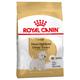 3kg Westie Royal Canin Adult Dry Dog Food