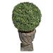 Primrue Artificial Boxwood Topiary Urn Resin/Plastic | 27 H x 15 W x 15 D in | Wayfair SE11156