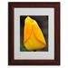 Trademark Fine Art "Perfect Yellow Tulip" by Kurt Shaffer Matted Framed Photographic Print Canvas in Green/Yellow | 14 H x 11 W x 0.5 D in | Wayfair
