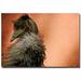 Trademark Fine Art "Whispy Bird" by Lois Bryan Framed Photographic Print on Wrapped Canvas in Gray/Orange | 14 H x 19 W x 2 D in | Wayfair