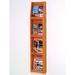 Wooden Mallet Dakota Wave 4 Magazine/8 Brochure Wall Display Wood in Brown | 49 H x 10.5 W x 4.75 D in | Wayfair LD49-8MO