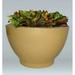 Allied Molded Products Toledo Composite Pot Planter Composite in Green | 21 H x 36 W x 16 D in | Wayfair TOL-2516-PD-34