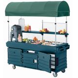 Cambro CamKiosk Vending Cart With Canopy And 4 Pan Well (KVC854C192) - Granite Green screenshot. Refrigerators directory of Appliances.