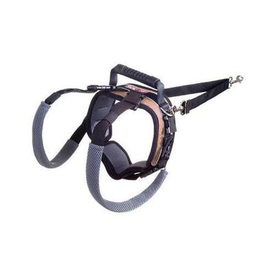 CareLift Lifting Aid Rear-Only Dog Harness - Size: Medium (35-70 lbs)