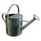 Watering Can 10 Quart Lawn And Garden