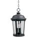 Maxim Dover DC 17" High Bronze Outdoor Hanging Lantern