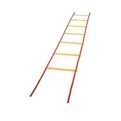 Champion Sports Economy Agility Ladder