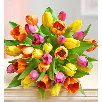 1-800-Flowers Seasonal Gift Delivery Mother's Day Radiant Tulips 15-30 Stems 30 Stems, Bouquet Only