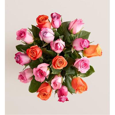 1-800-Flowers Flower Delivery Mother's Day Sorbet Roses 18-36 Stems 18 Stems, Bouquet Only